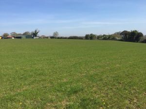 Photo 5- click for photo gallery